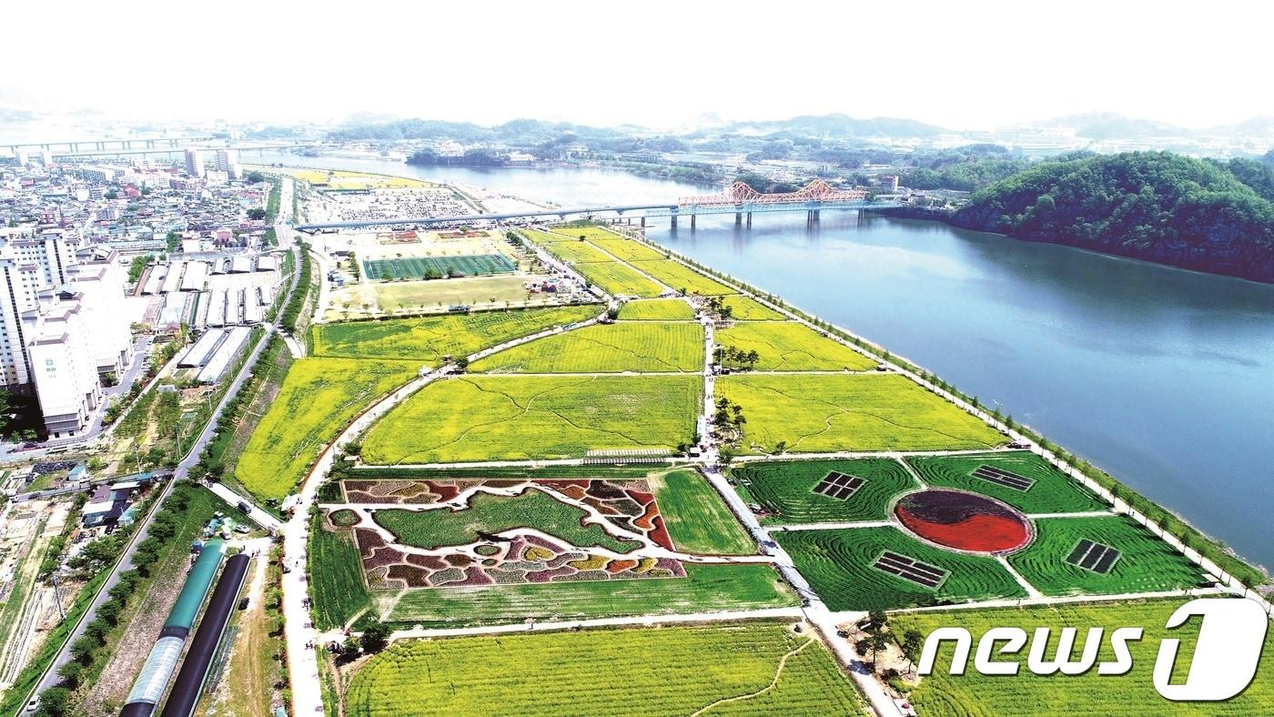본문 이미지 - 경남 각지에서 봄나들이 손님들을 맞이할 다양한 축제가 준비돼 다채롭고 풍성한 볼거리를 선보인다. 사진은 창녕낙동강유채축제.(경남도제공)2019.3.10.ⓒ 뉴스1