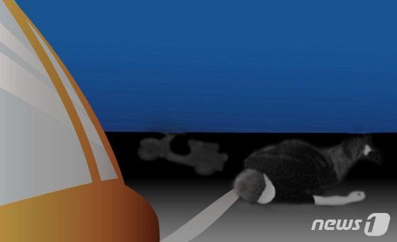 본문 이미지 -  ⓒ News1 DB