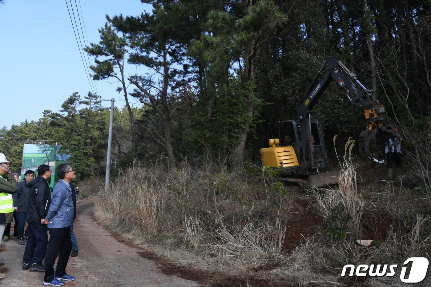  제주지역 소나무재선충병 방제사업 자료사진. (산림청 제공)ⓒ 뉴스1