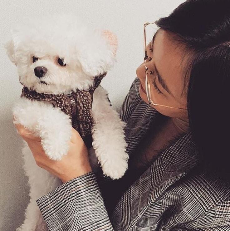 본문 이미지 - 오초희 인스타그램 ⓒ 뉴스1