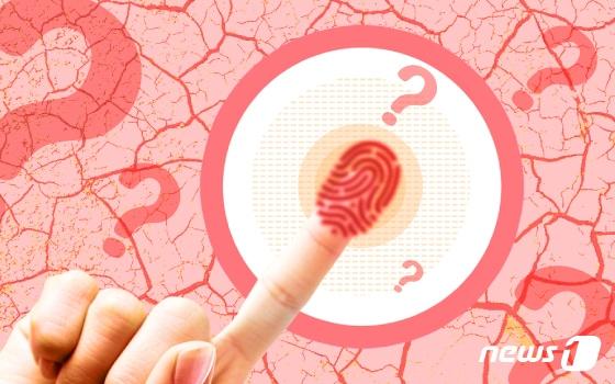 본문 이미지 - ⓒ News1 김일환 디자이너