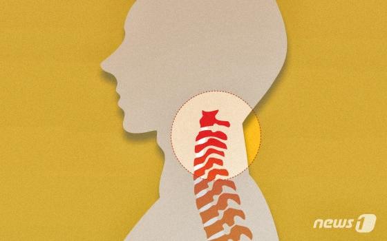 본문 이미지 - ⓒ News1 DB