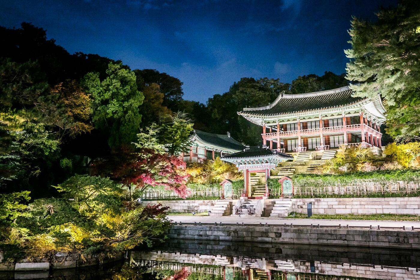 본문 이미지 - 2018년 창덕궁 달빛기행 - 부용지 전경.(문화재청 제공)