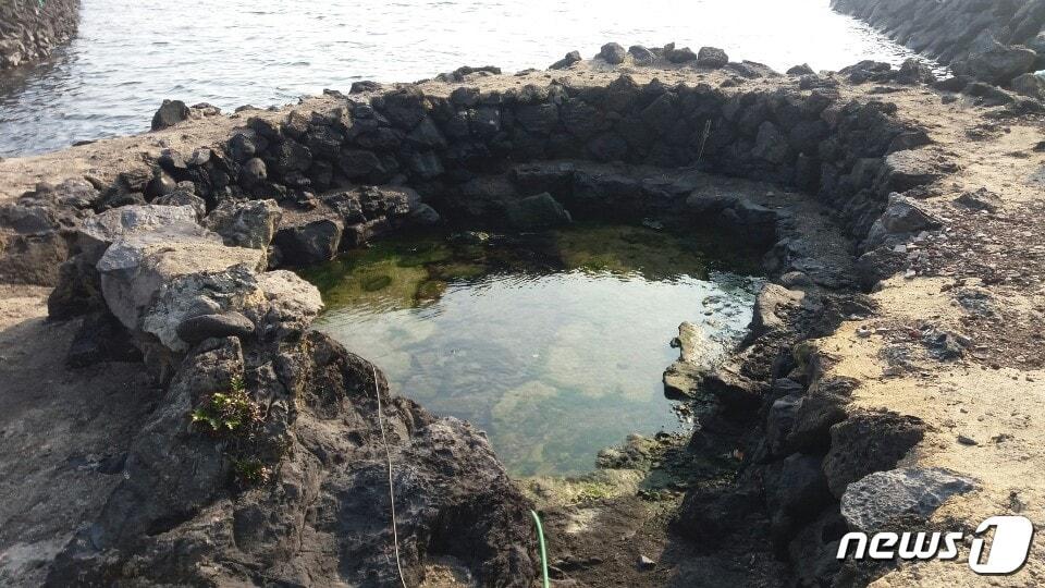 본문 이미지 - 제주 한림읍 수원리 용천수. (제주환경운동연합 제공) ⓒ 뉴스1