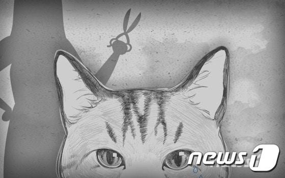 본문 이미지 - ⓒ News1 이은현 디자이너