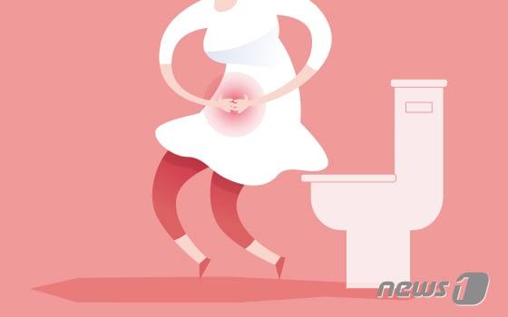 본문 이미지 - ⓒ News1 DB