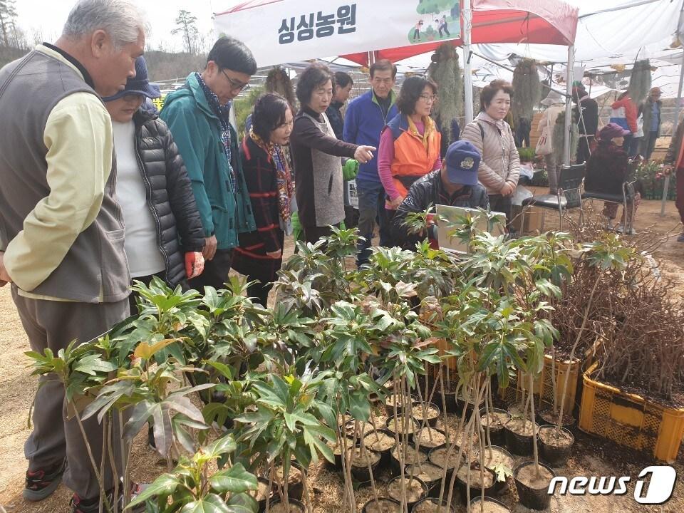 본문 이미지 - 28일 국내 최대 묘목 주산지인 충북 옥천군 이원면 옥천묘목공원에서 개막한 ‘제20회 옥천묘목축제’가 첫날부터 성황이다.(옥천군 제공).2019.03.28.ⓒ 뉴스1