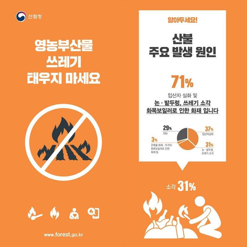 본문 이미지 - ⓒ 뉴스1