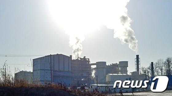본문 이미지 - 북이면 한 폐기물 처리업체 모습ⓒ 뉴스1