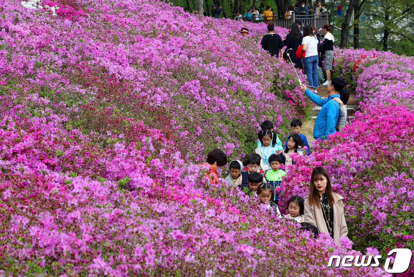 &#40;사진은 기사 내용과 무관함&#41; / 뉴스1 ⓒ News1
