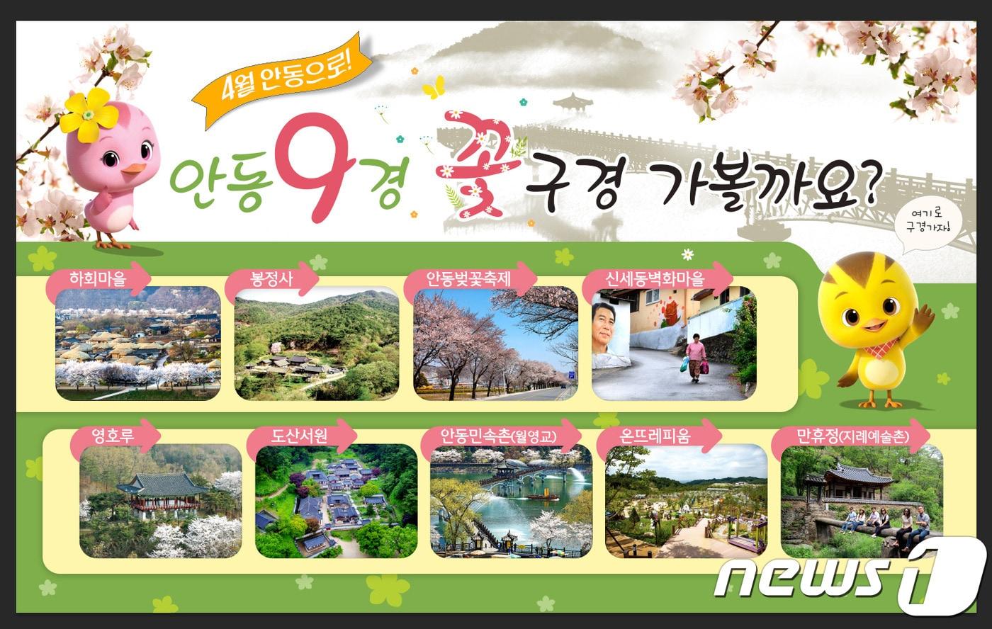 본문 이미지 - 4월 안동9경ⓒ 뉴스1
