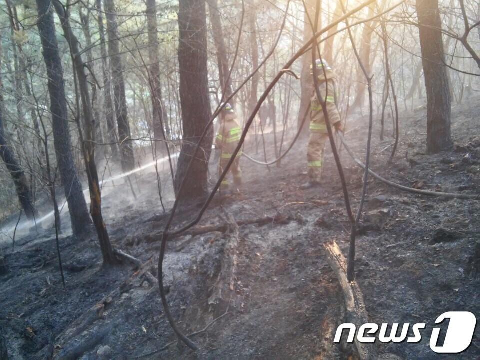 본문 이미지 - 뉴스1 DB/ ⓒ News1 여주연 기자