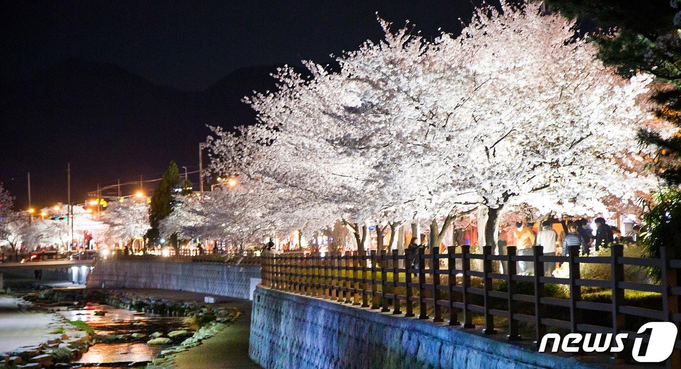 본문 이미지 - 쌀쌀한 날씨 속에서도 경북 구미시 금오천변에 벚꽃이 만개했다. 3일까지 이틀 동안 열린 금오산 벚꽃축제 기간 벚꽃이 만개한 금오천에서는 바람개비 조형물과 포토존이 설치되고 버스킹 공연이 이어져 봄 마중을 나온 시민들에게 다양한 볼거리를 제공했다. 2019.4.3 ⓒ 뉴스1 정우용 기자