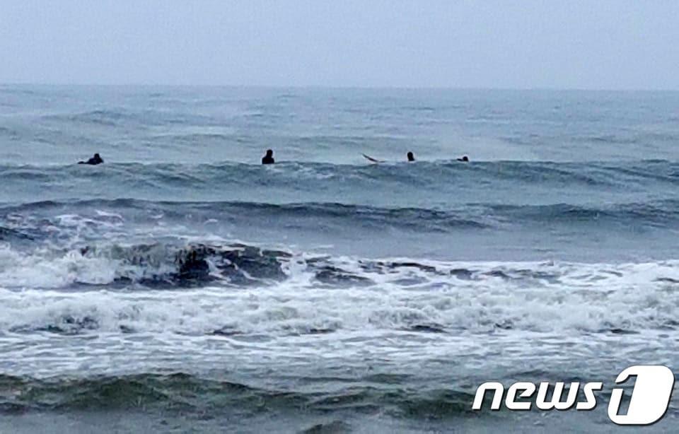 본문 이미지 - 서핑활동하는 레저객들(속초해양경찰서 제공) ⓒ News1