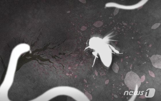 본문 이미지 - ⓒ News1 DB