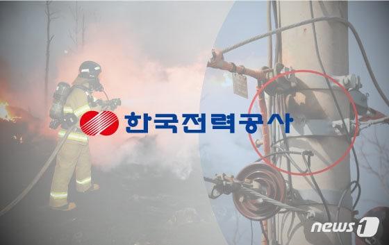 본문 이미지 - ⓒ News1 DB