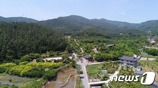 본문 이미지 - 백운산 휴양림.(광양시 제공)/뉴스1DB