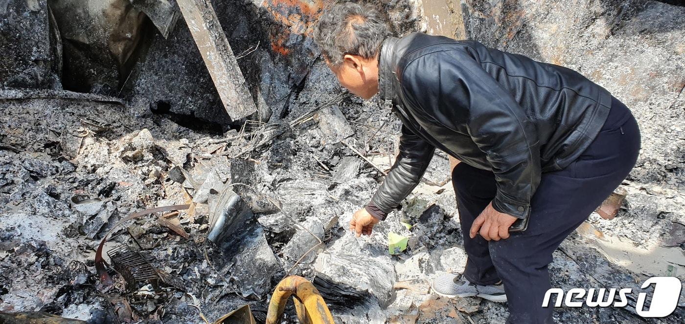 조영식씨(60)가 산불에 전소돼 형상조차 남지 않은 화실에서 잿가루가 된 작품을 살피고 있다. ⓒ News1 고재교 기자