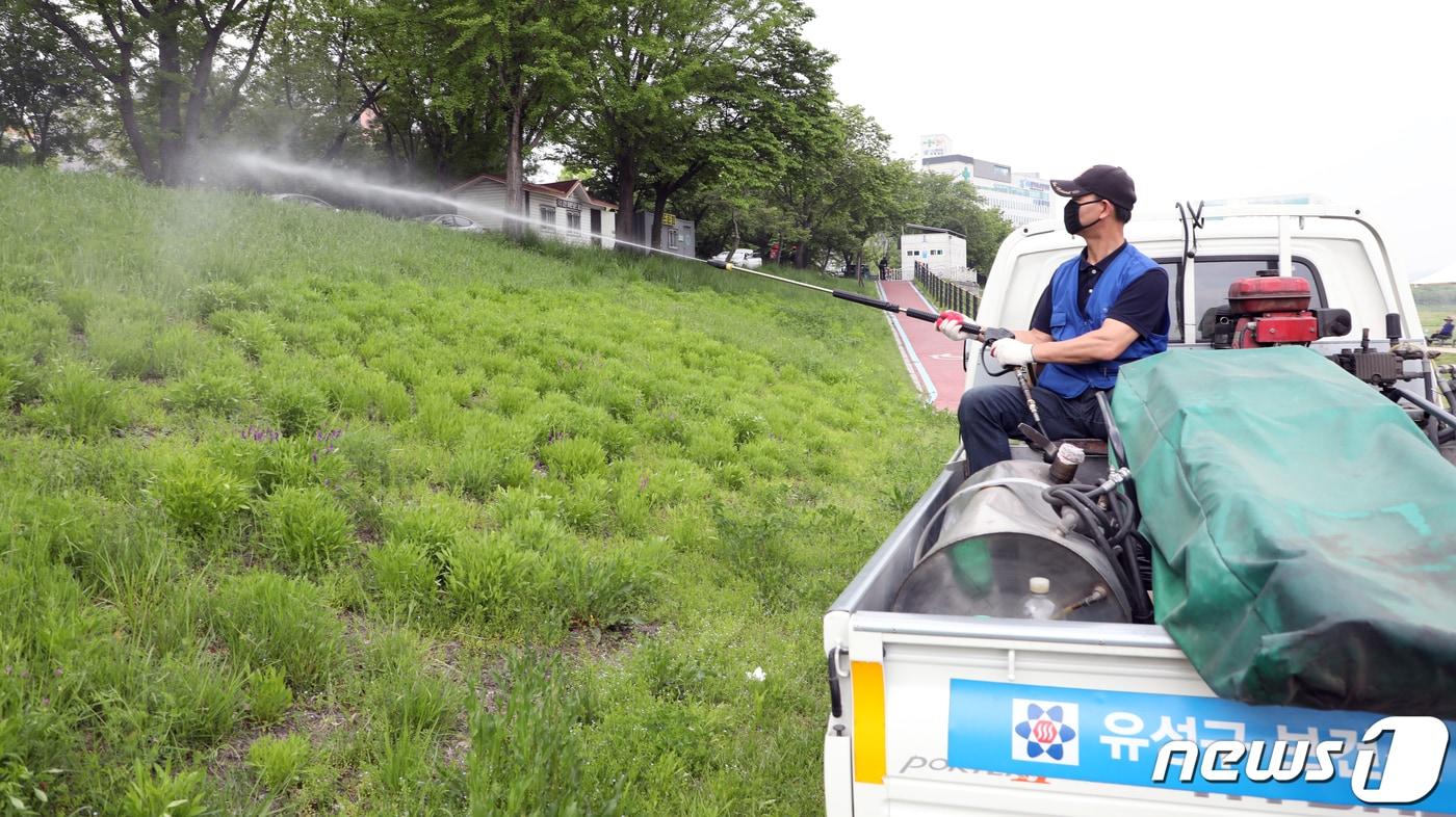 봄철 맞아 살인 진드기 활동시기가 도래함에 따라 공원, 풀밭 등 야외활동에 시민들의 주의가 요구되고 있는 가운데 1일 오후 대전 유성구 만년교 인근 하천에서 유성구보건소 방역기동반 직원들이 살인 진드기 방역소독을 하고 있다.   2019.5.1/뉴스1  ⓒ News1 주기철 기자