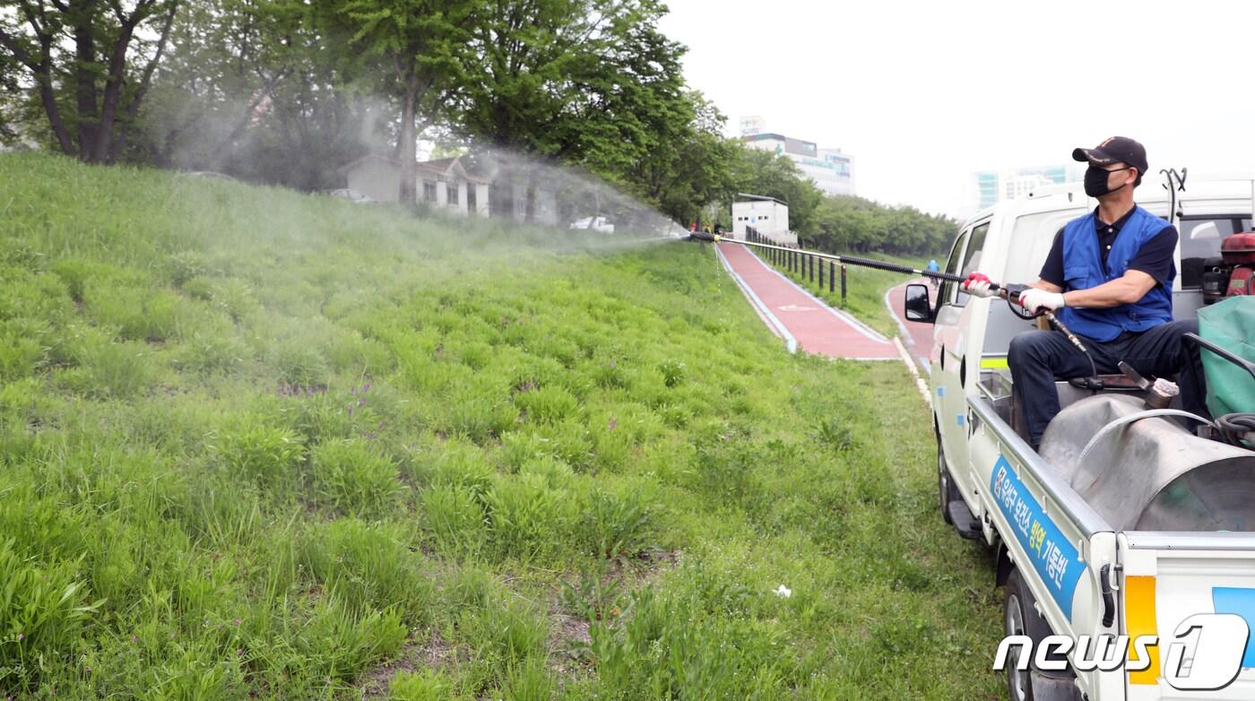 자료사진/뉴스1  ⓒ News1