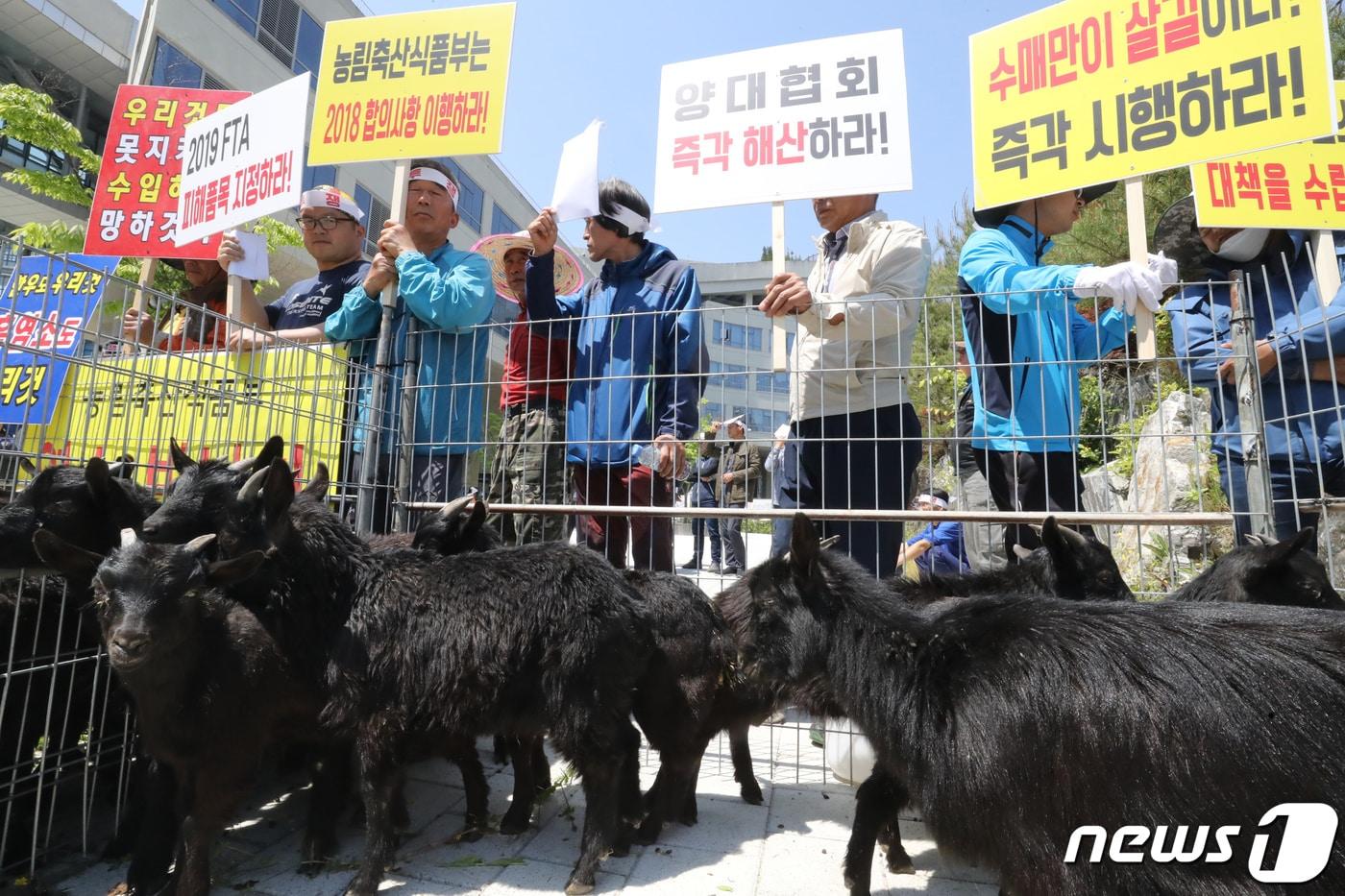 본문 이미지 - 염소고기  'FTA 피해 품목 재지정 촉구' 집회 자료사진.  ⓒ 뉴스1 장수영 기자