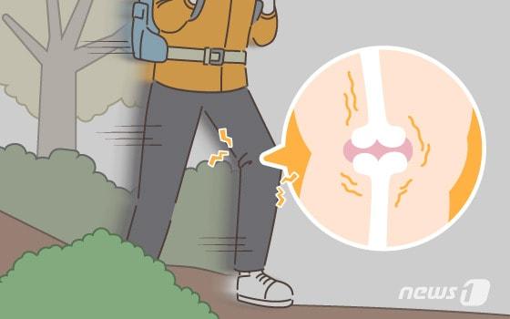 본문 이미지 - ⓒ News1 이은현 디자이너