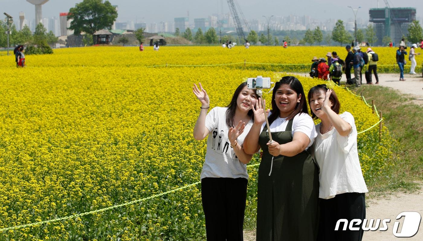 경기 구리 한강시민공원을 찾은 관광객들이 노랗게 핀 유채꽃을 배경으로 기념촬영을 하고 있다.  ⓒ News1 안은나 기자