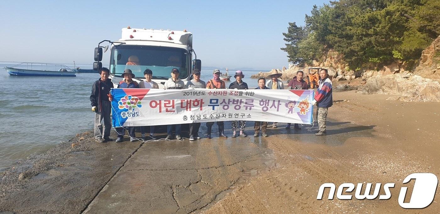 충남도 수산자원연구소(소장 임민호)는 10일 서천과 보령, 당진 등 3개 시·군 연안 산란장을 대상으로 어린 대하 1500만 마리를 방류했다. ⓒ 뉴스1