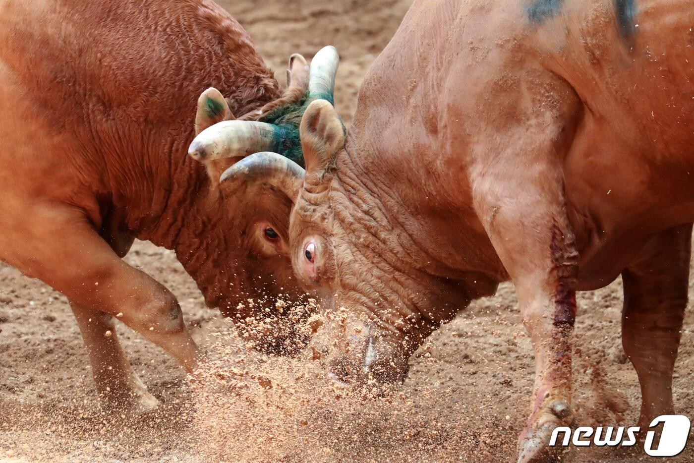 &lt;자료 사진&gt; ⓒ News1 DB