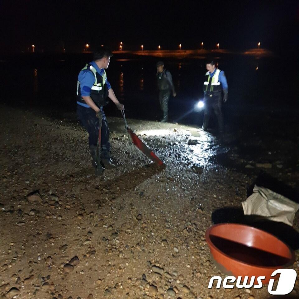 본문 이미지 - 야간 해루질 주의. 해당 기사와는 관련 없음(태안해경 제공)/뉴스1