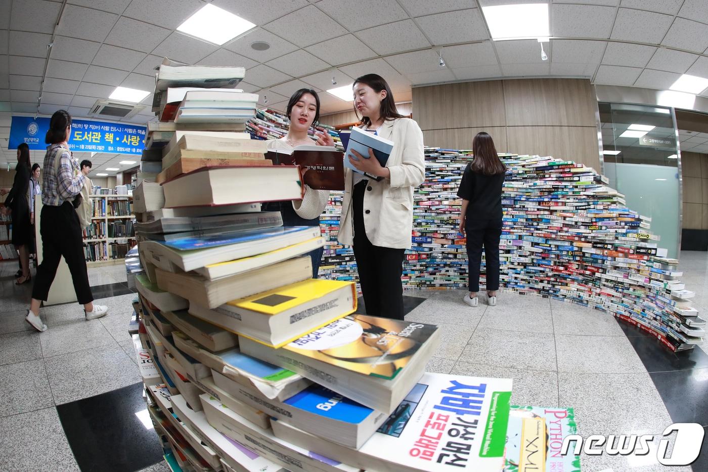 본문 이미지 - 22일 경북 경산시 영남대학교 중앙도서관 1층에 헌책을 이용해 이글루 형태로 쌓은 북글루가 눈길을 끌고 있다. /뉴스1