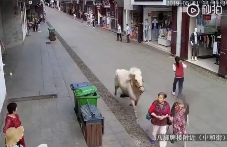 본문 이미지 - 말이 전속력으로 질주해 여성 두 명을 들이받기 직전이다. - 웨이보 갈무리
