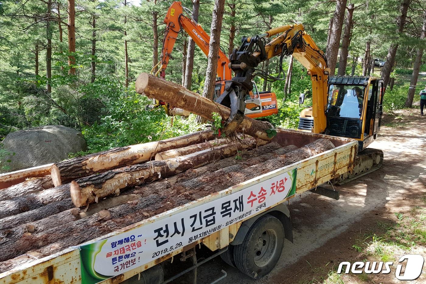 본문 이미지 - 29일 동부지방산림청(청장 최준석)은 강원도 양양군 현남면 하월천리 소재 국유림에서 산림청과 관련기관 관계자 30여 명이 참석한 가운데 을지태극연습의 하나로 목재공급 훈련을 실시했다. (동부지방산림청 제공) 2019.5.29/뉴스1 ⓒ News1