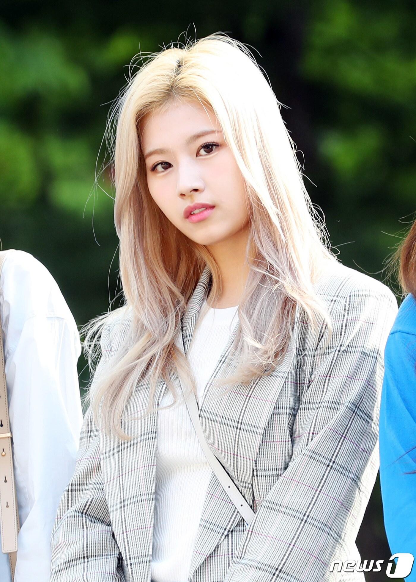 본문 이미지 - 사나ⓒ News1