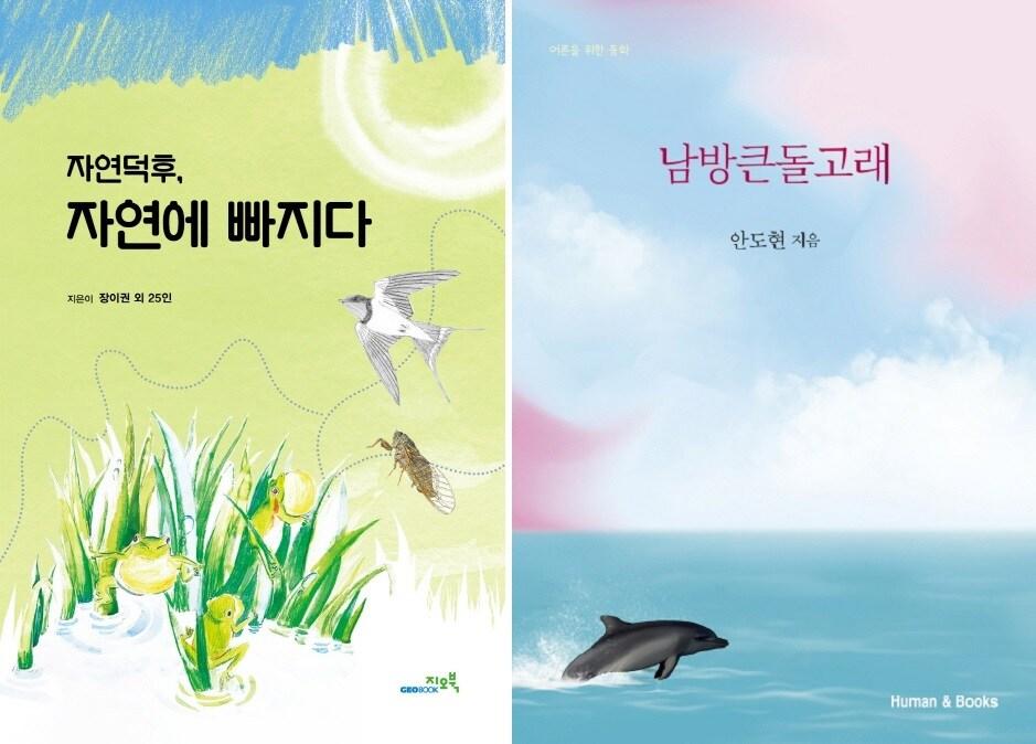 본문 이미지 - ⓒ 뉴스1