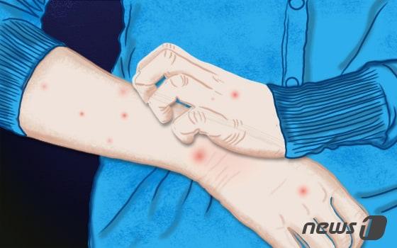 본문 이미지 - ⓒ News1 이지원 디자이너