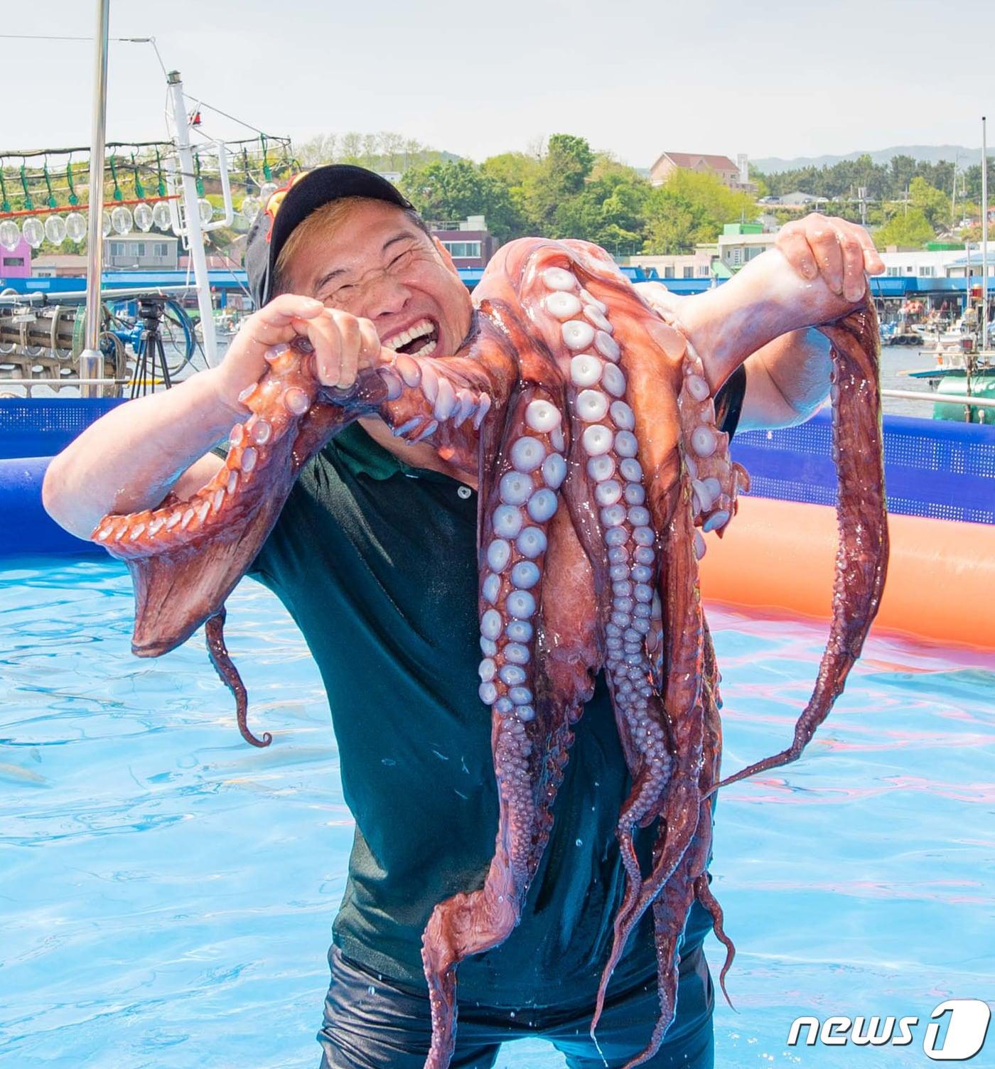 본문 이미지 - 어지난 2019년 열린 '저도 대문어축제' (고성군 제공, 재판매 및 DB 금지) ⓒ News1 고재교 기자
