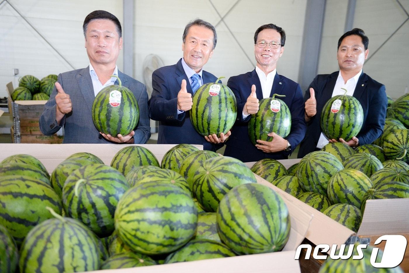 본문 이미지 - 충북 음성군의 대표 농·특산물인 ‘다올찬 수박’이 지난 10일부터 대소농협·맹동농협 수박선별장과 음성 햇사레거점산지유통센터에서 공동 출하 기원제를 지내고, 본격 출하에 들어갔다. ⓒ 뉴스1