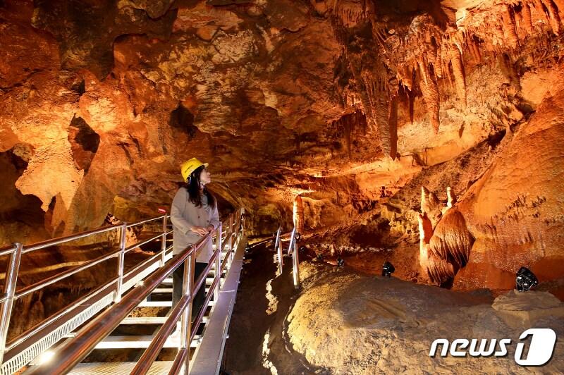 본문 이미지 - 천곡황금박쥐동굴 내부. (동해시 제공) 2019.6.13/뉴스1 ⓒ News1