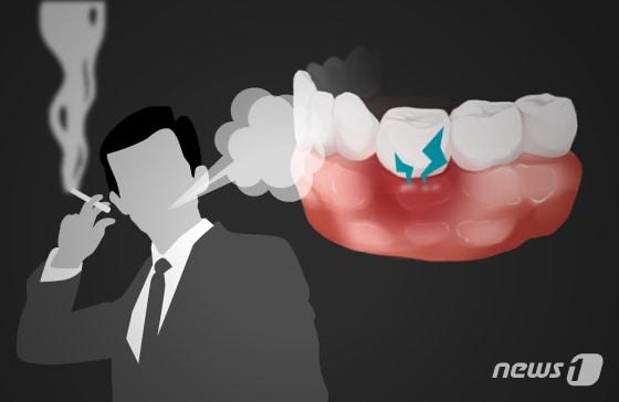 본문 이미지 - ⓒ News1 DB