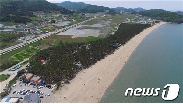 본문 이미지 - 고사포 자동차야영장 전경ⓒ 뉴스1