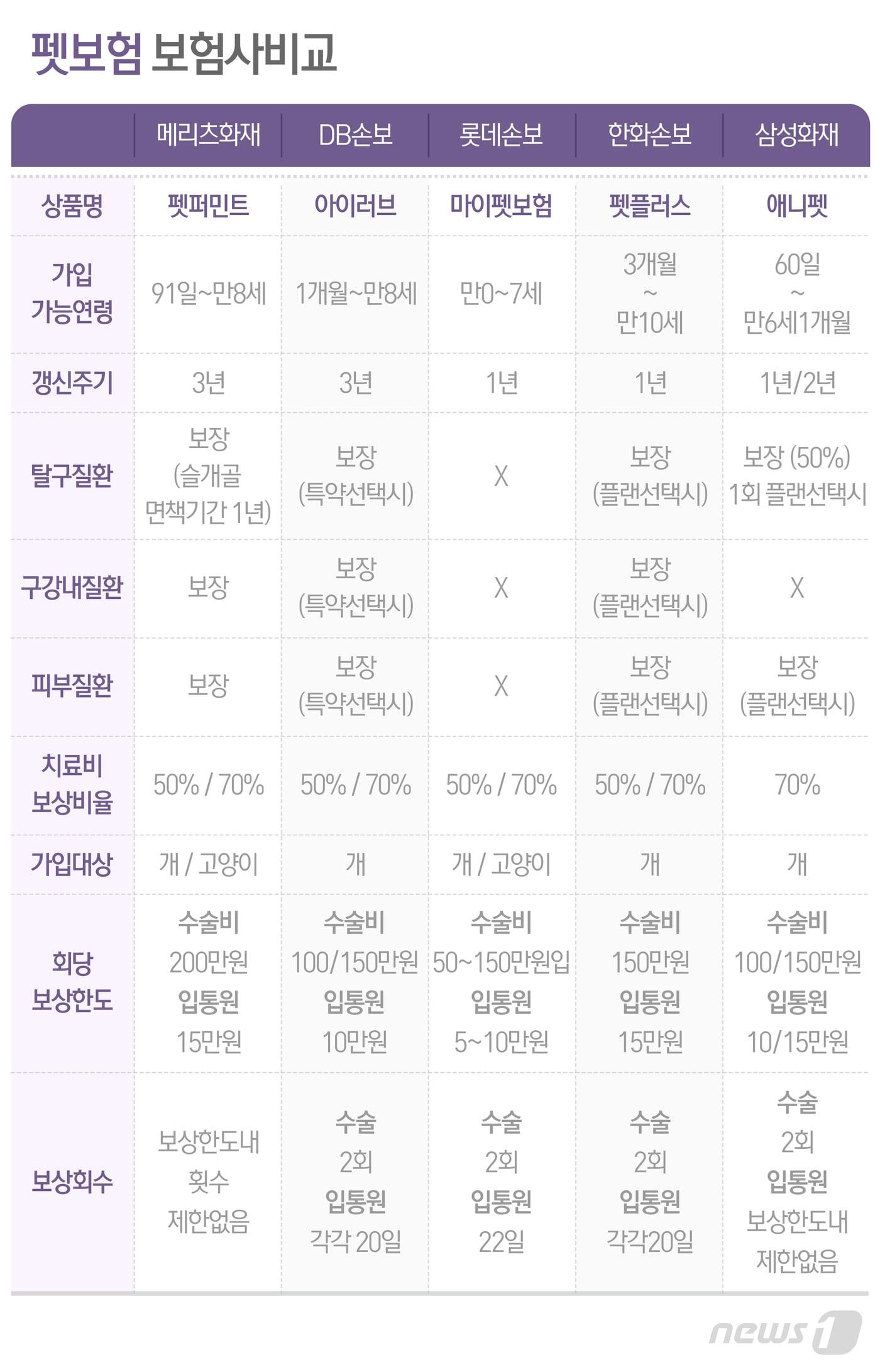 본문 이미지 - ⓒ News1 최수아 디자이너