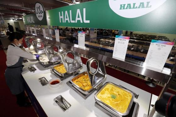 본문 이미지 - 지료사진/뉴스1