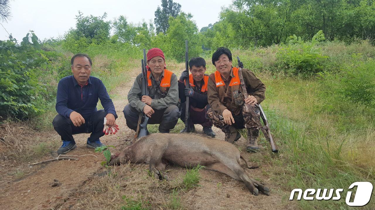 본문 이미지 - 전북 진안군이 유해야생동물 피해를 예방하기 위해  피해 방지단을 운영한다. 자료사진(김천시제공) ⓒ News1 정우용 기자