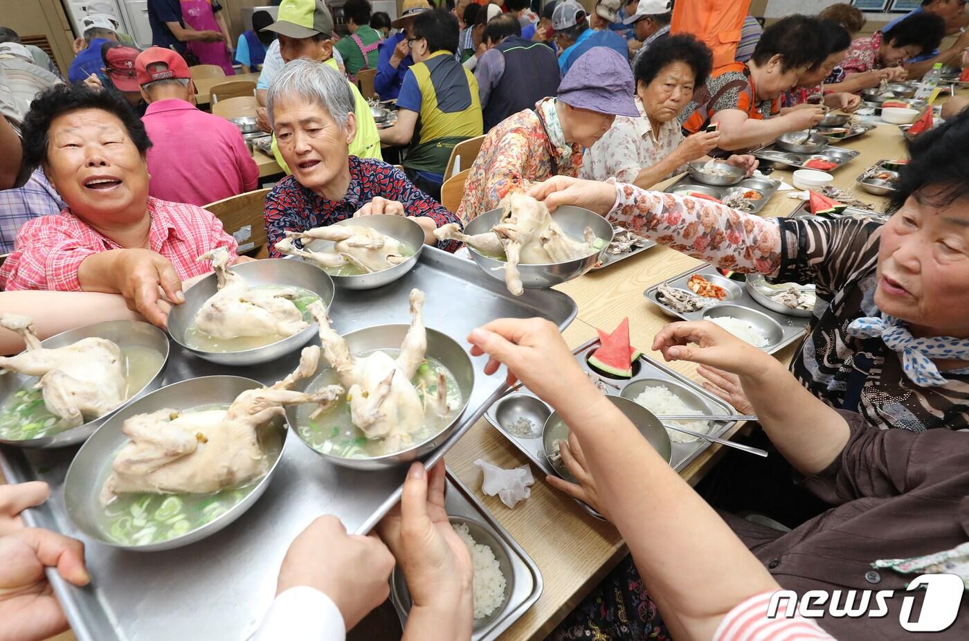 본문 이미지 - 20일 오전 대구 서구 원대동 서구제일종합사회복지관에서 지역 어르신을 초청해 점심으로 여름철 건강식 삼계탕과 수박을 대접하고 있다. 2019.6.20/뉴스1 ⓒ News1 공정식 기자