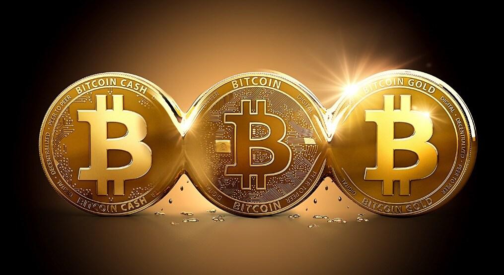 본문 이미지 -   ⓒ News1 