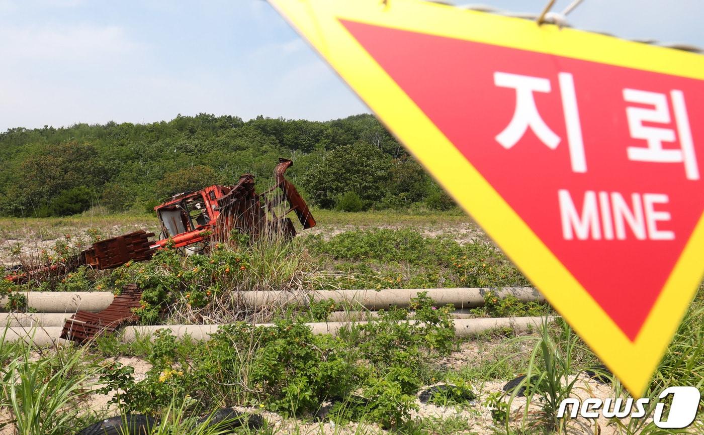 본문 이미지 - 2019년 6월 26일 당시 강원도 고성군 DMZ 평화의 길 코스 일원에 2003년 전신주 작업 중 지뢰 폭발로 파괴된 굴삭기의 흔적이 여전히 남아있다. (사진은 기사 내용과 무관함) 2019.6.26 ⓒ 뉴스1 고재교 기자