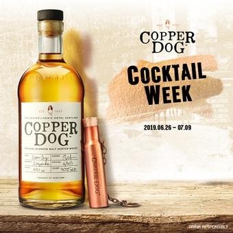 본문 이미지 - 코퍼독 ⓒ 뉴스1