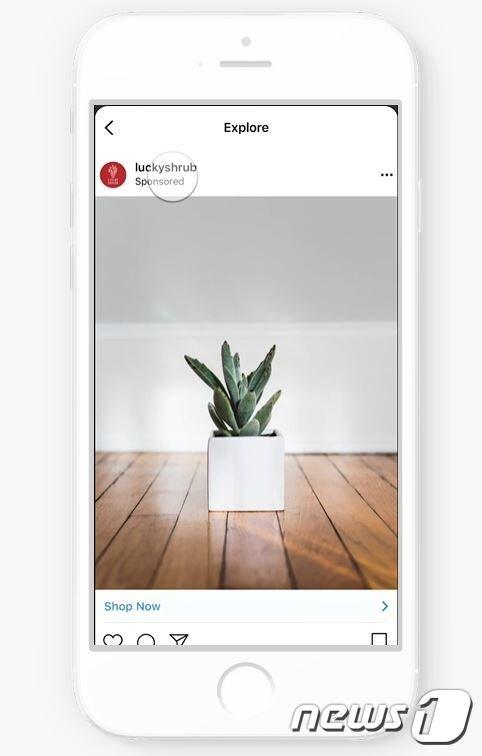 본문 이미지 - (인스타그램 블로그 갈무리) ⓒ 뉴스1