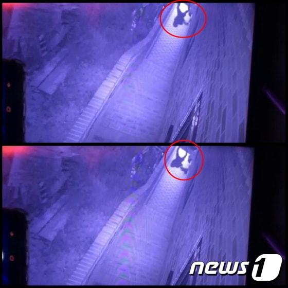 본문 이미지 - 누군가 고양이를 학대하는 모습이 CCTV에 찍혔다. 사진 SNS 갈무리 ⓒ 뉴스1